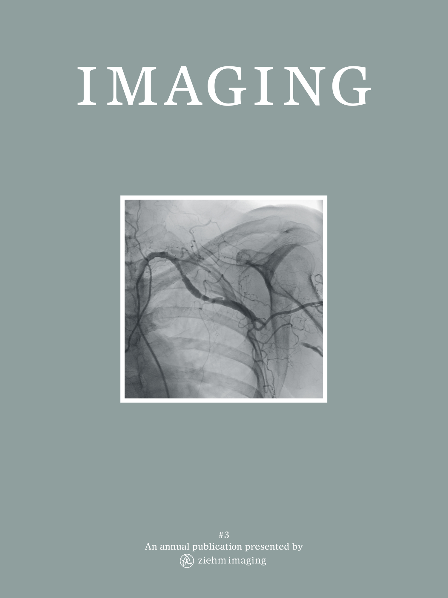 Cover of the print magazine "Imaging", #3