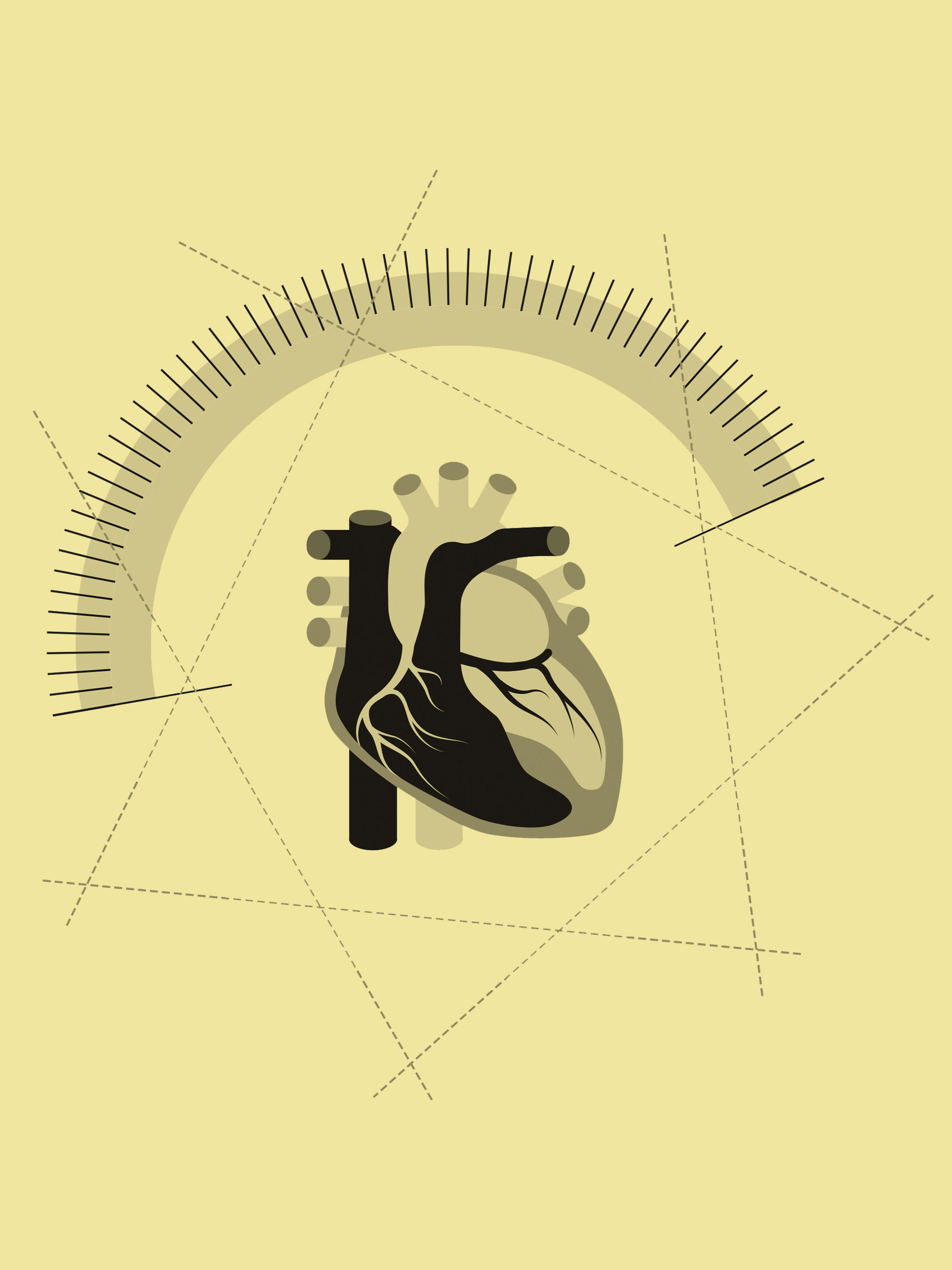 An illustration of a human heart surrounded by a measuring scale.
