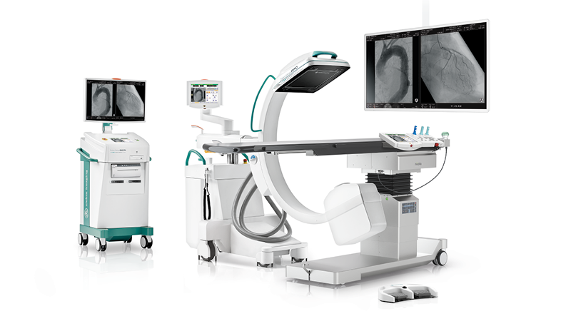 Endovascular Navigation