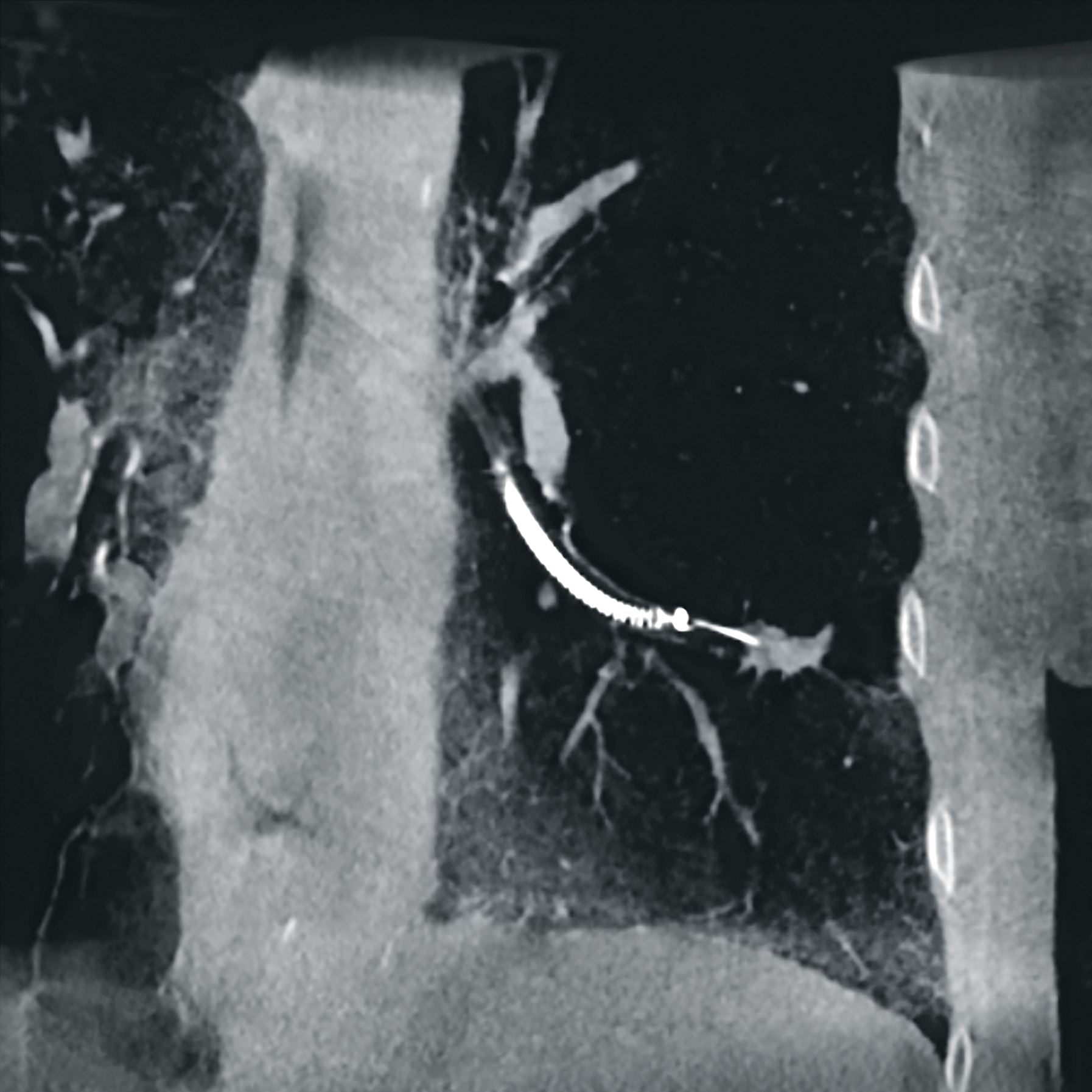 Spécialités cliniques