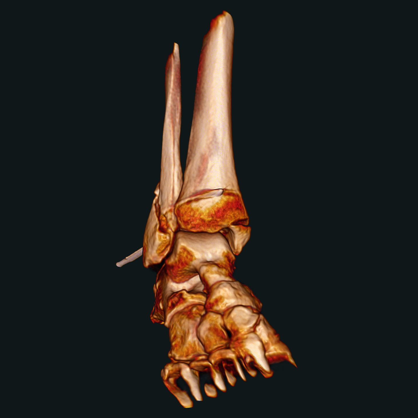 Orthopädie und Traumatologie