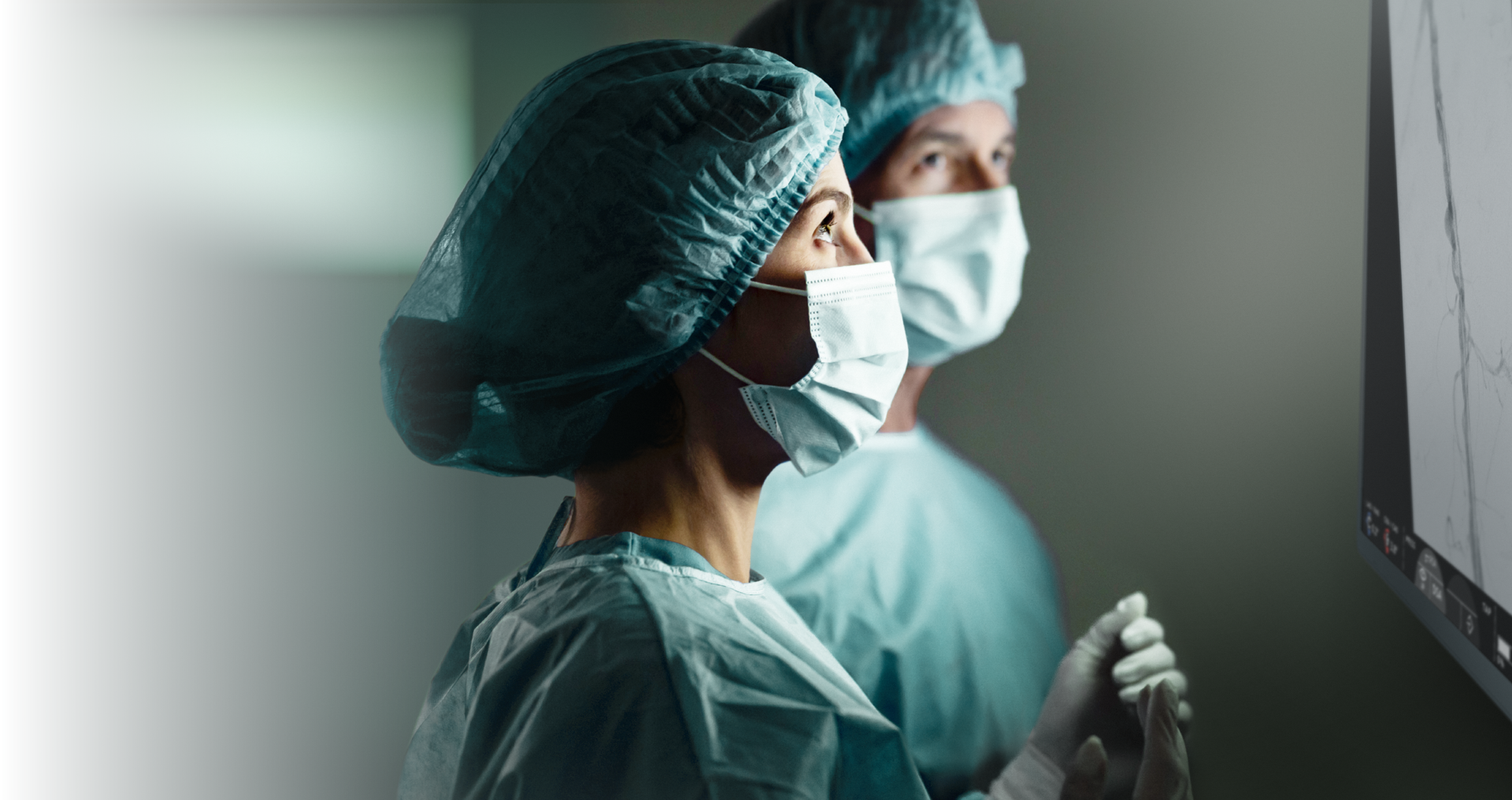 Endovascular Navigation Peripheral